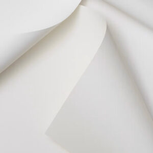 Papel Natural Evolution