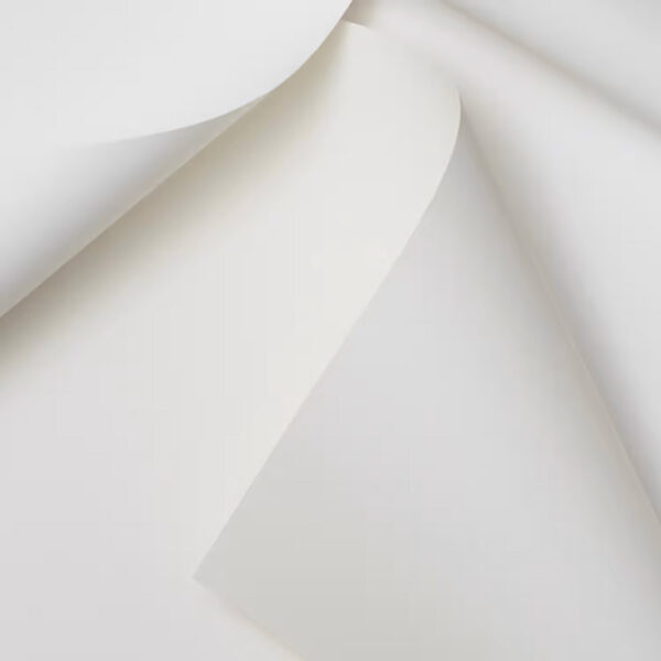 Papel Natural Evolution