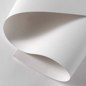 Papel Dalí