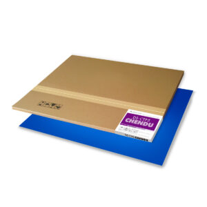 Plancha Chendu CTP Termal DS-CTP5